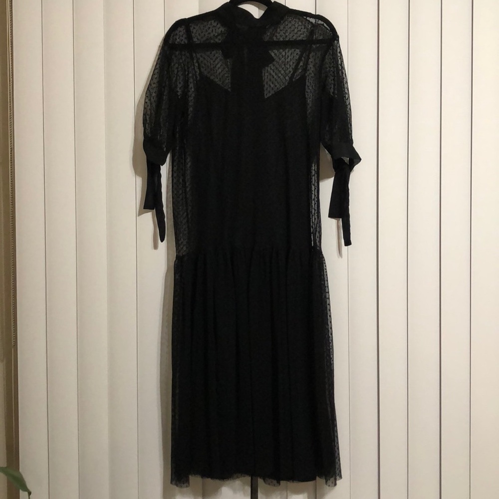 Zara Tulle Polka Dot Maxi Dress